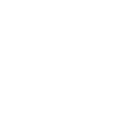 RoqPoint Logo